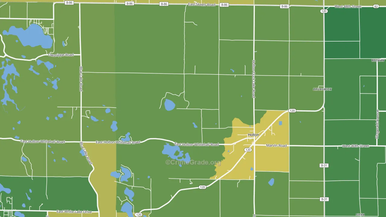 Holton, MI Map of Murder Rates