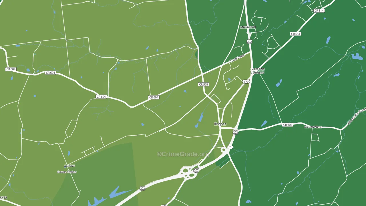 Larisons Corner, NJ Map of Murder Rates