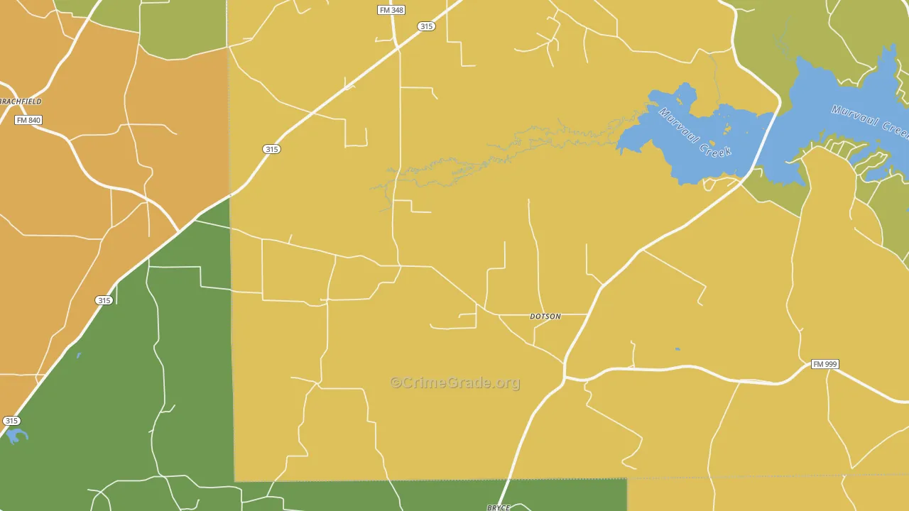 Long Branch, TX Map of Murder Rates