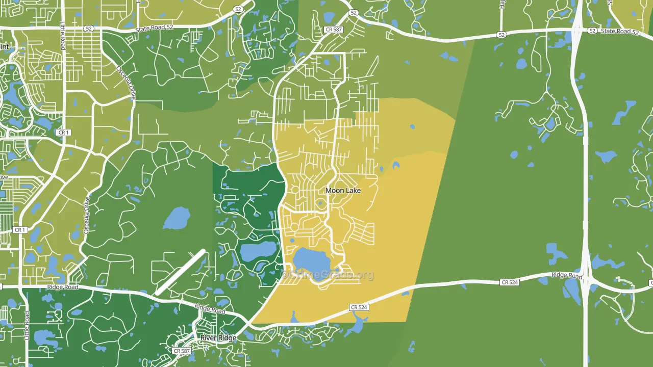 Moon Lake, FL Map of Murder Rates