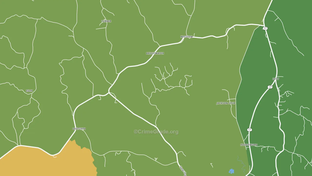 Needham, AL Map of Murder Rates