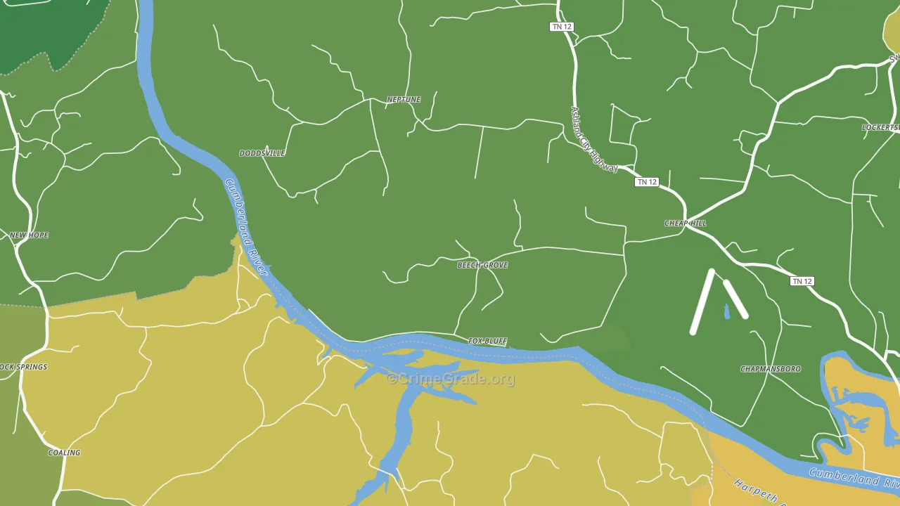 Neptune, TN Map of Murder Rates