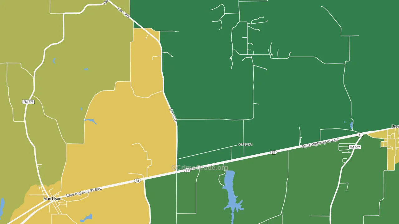 Opelika, TX Map of Murder Rates