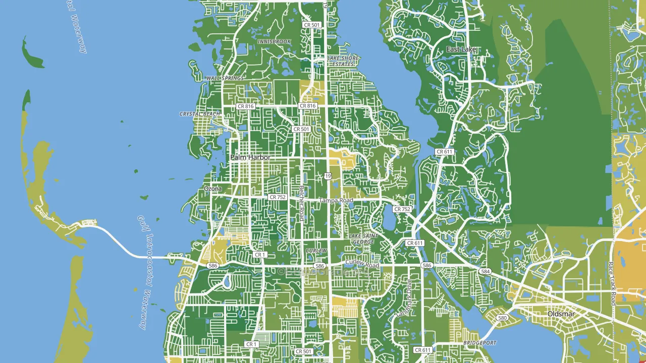Palm Harbor, FL Map of Murder Rates