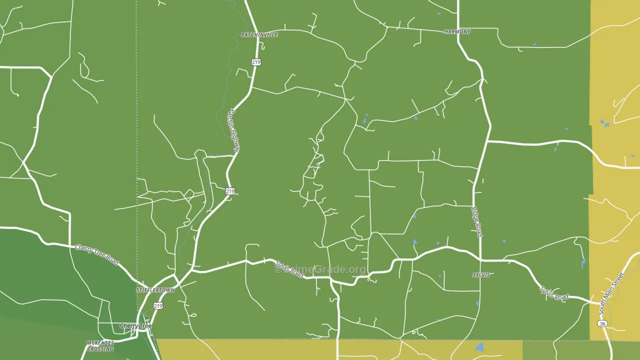 Patchinville, PA Map of Murder Rates