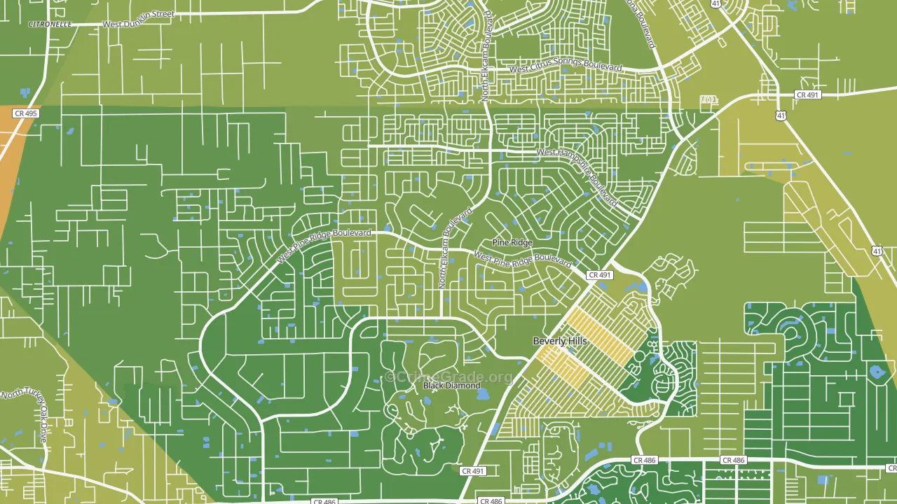 Pine Ridge, FL Map of Murder Rates