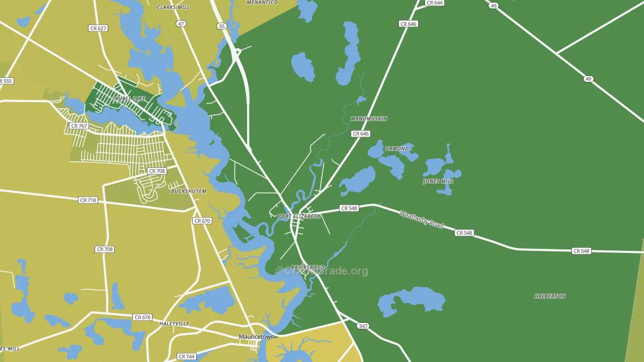 Port Elizabeth, NJ Map of Murder Rates