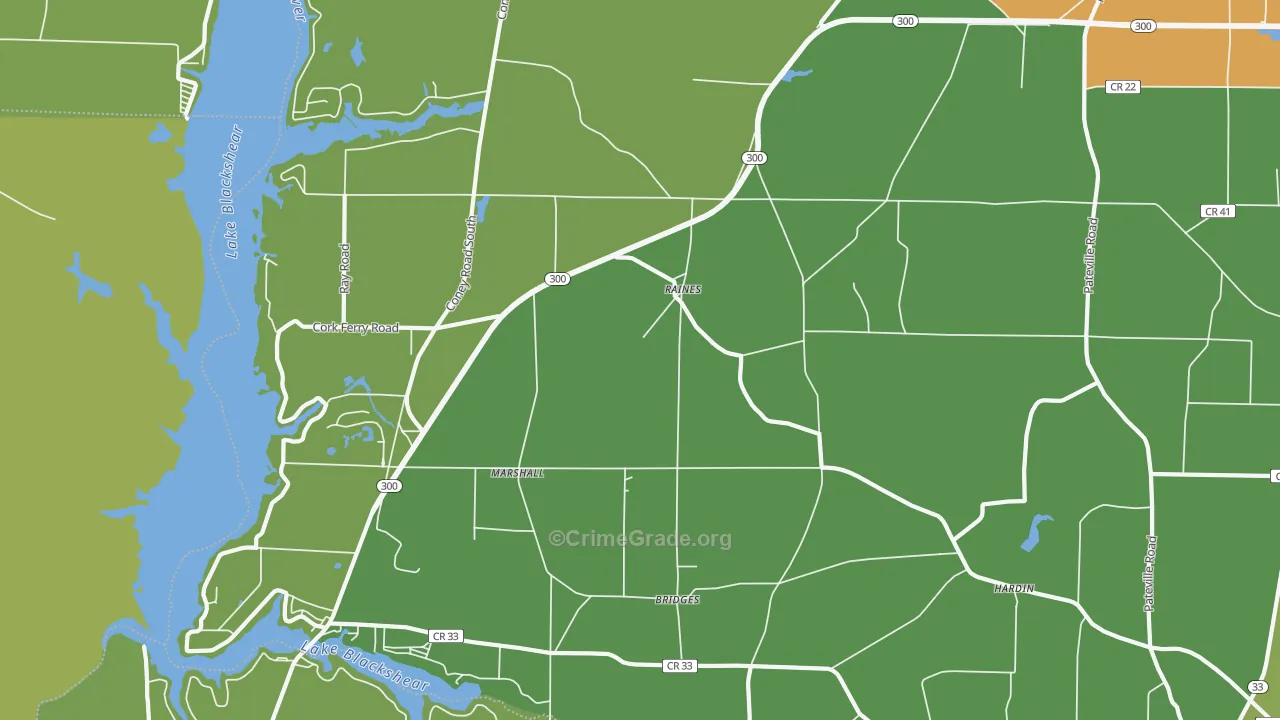 Raines, GA Map of Murder Rates