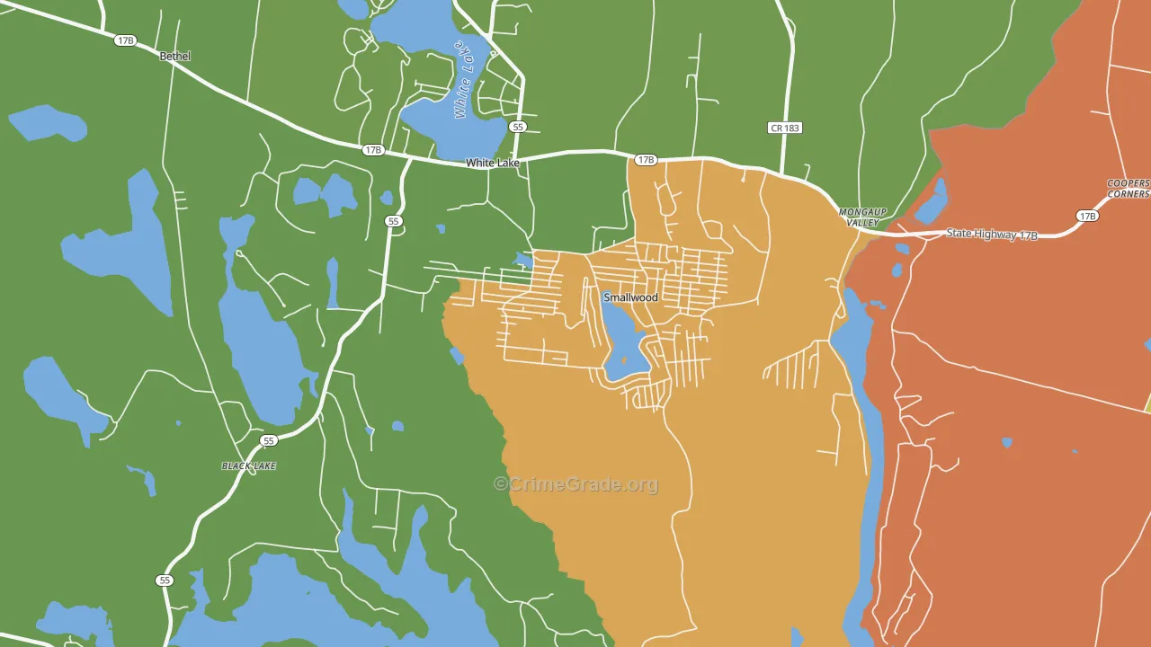 Smallwood, NY Map of Murder Rates
