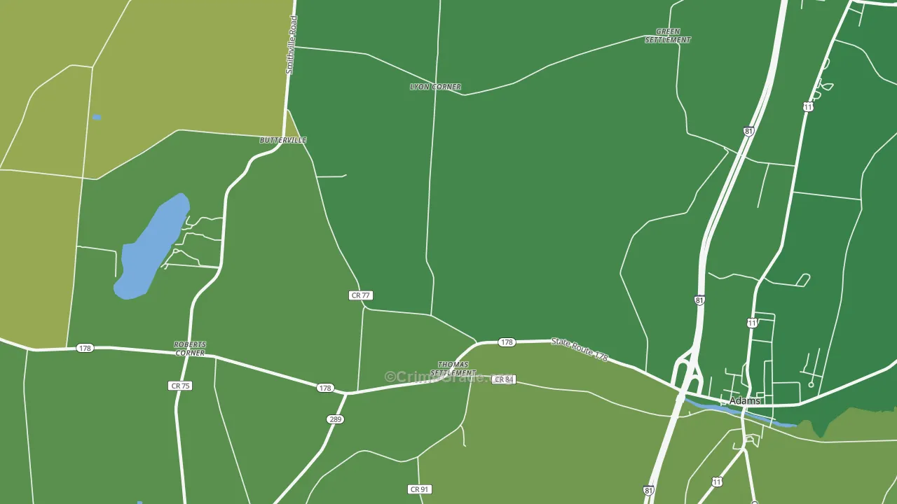Thomas Settlement, NY Map of Murder Rates