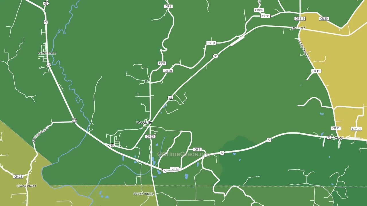 Woodville, AL Map of Murder Rates
