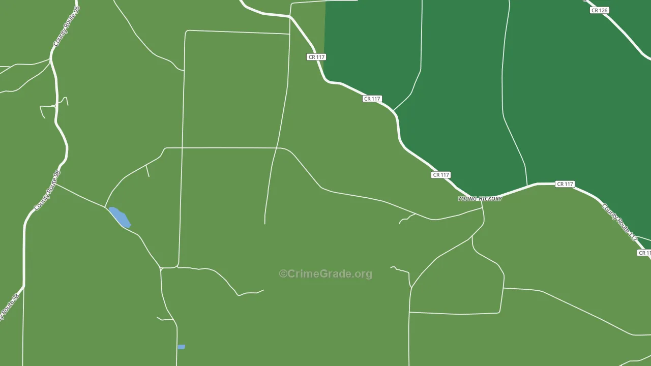 Young Hickory, NY Map of Murder Rates