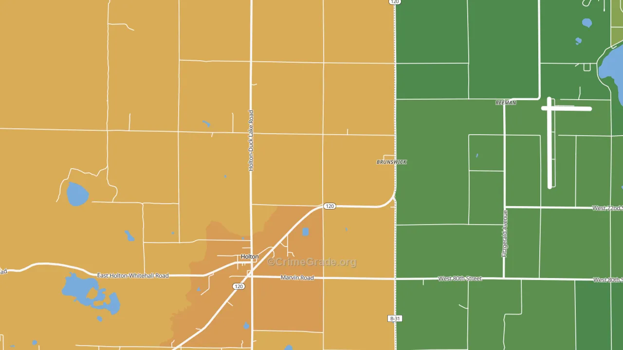 Brunswick, MI Map of Robbery Rates