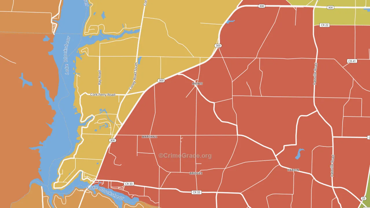 Raines, GA Map of Robbery Rates