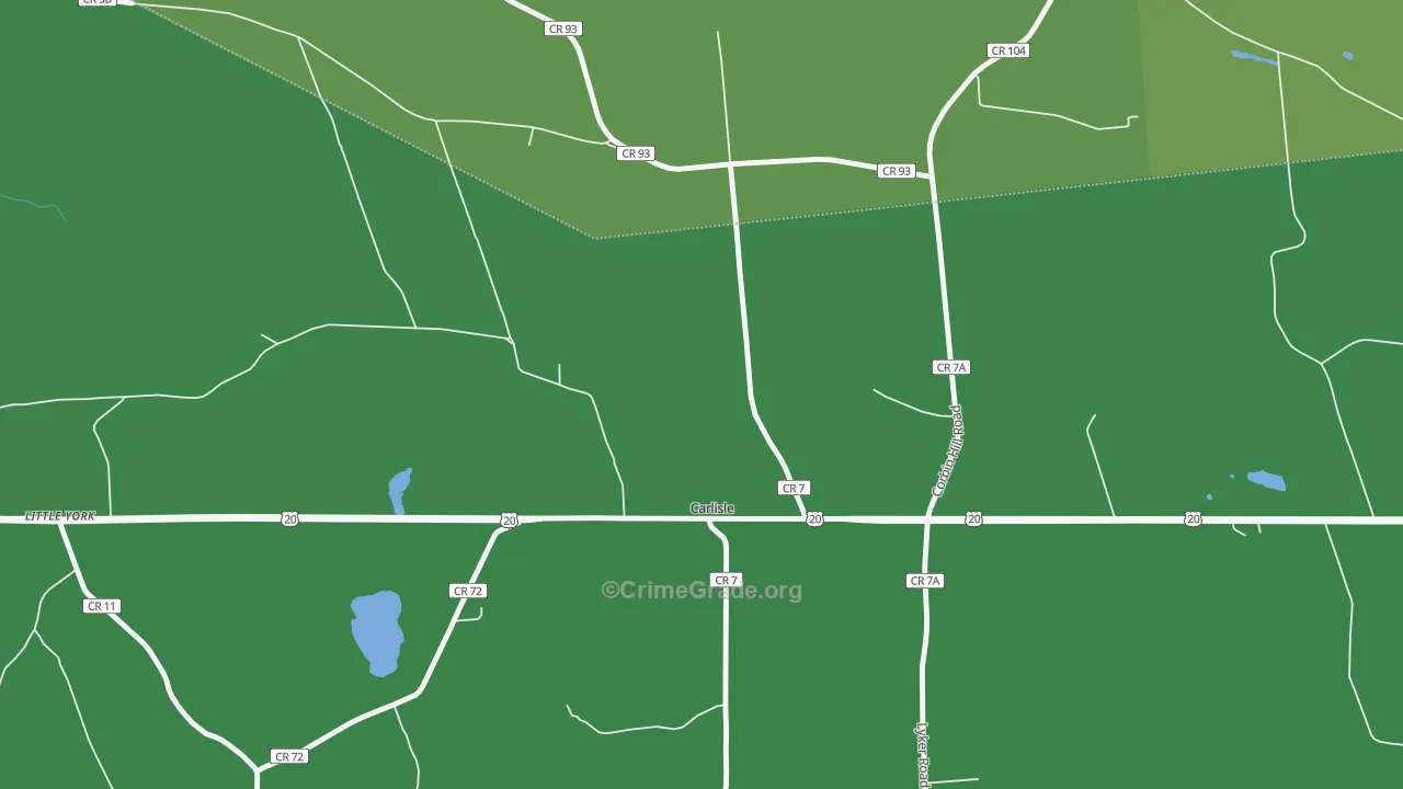 12031, NY Map of Theft Rates