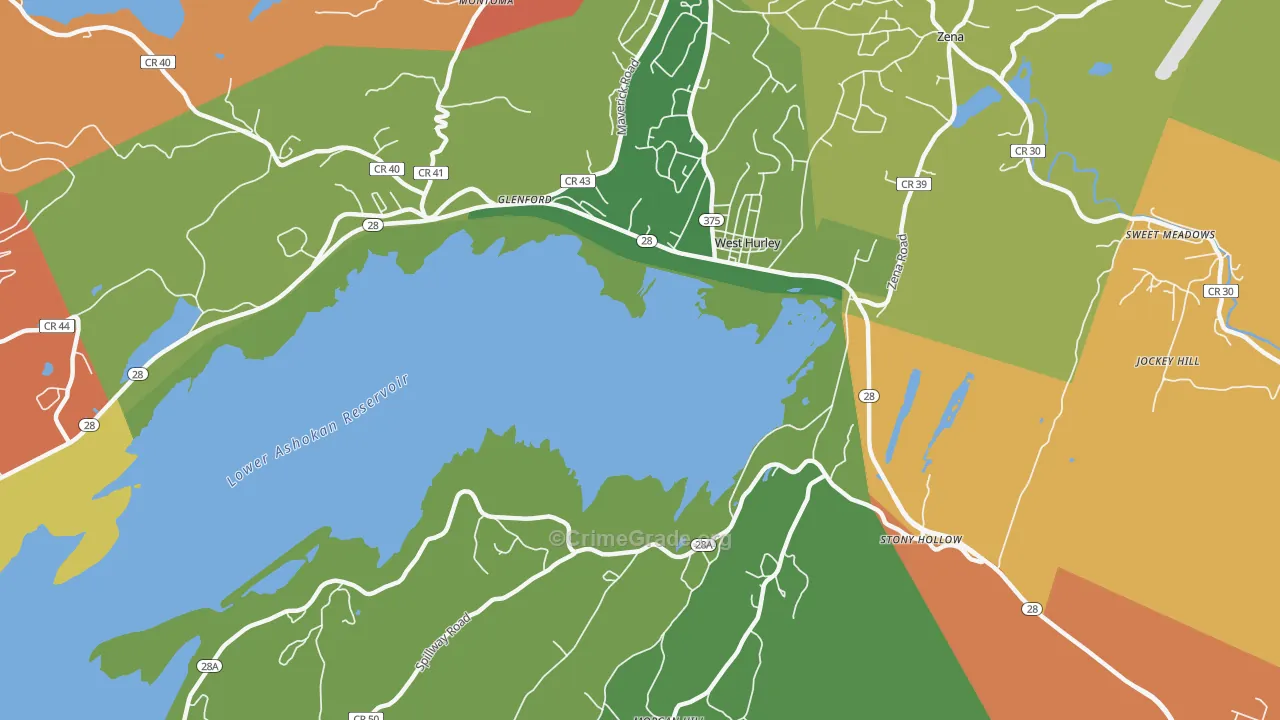 12491, NY Map of Theft Rates