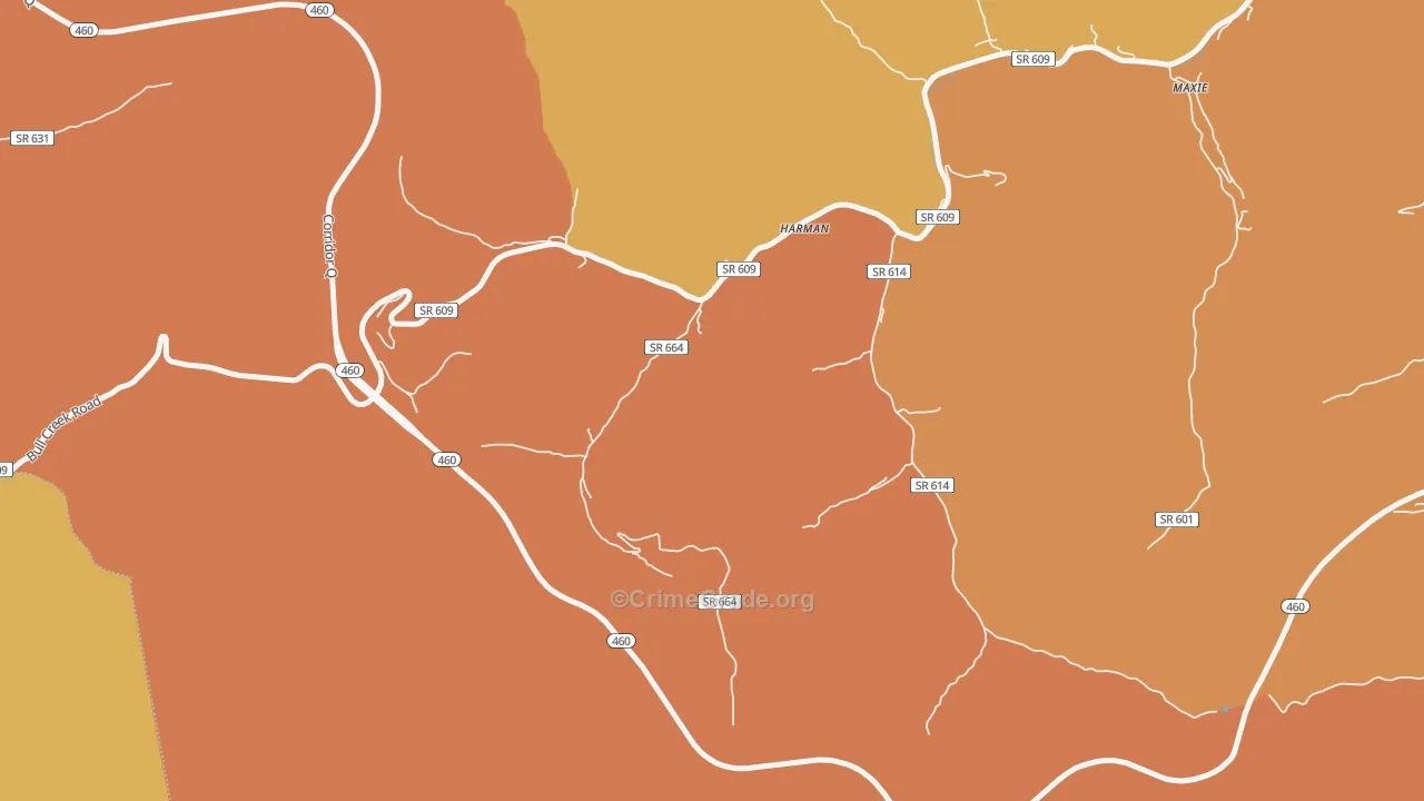 24628, VA Map of Theft Rates