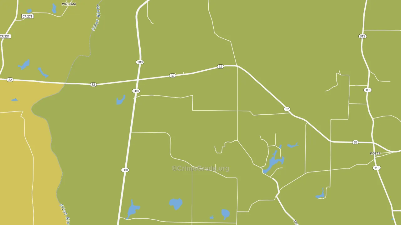 31772, GA Map of Theft Rates