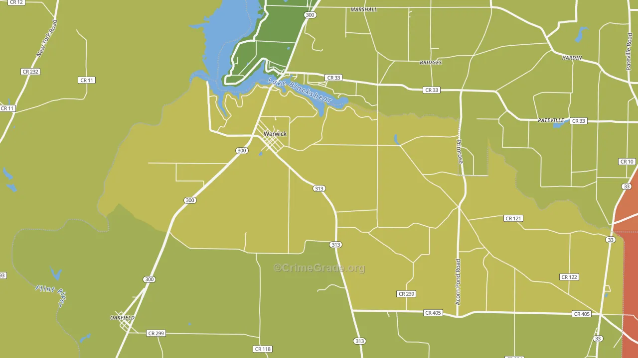 31796, GA Map of Theft Rates