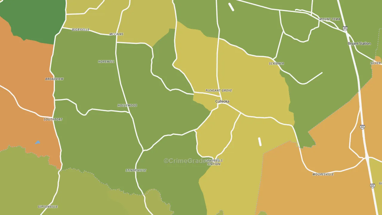 38451, TN Map of Theft Rates
