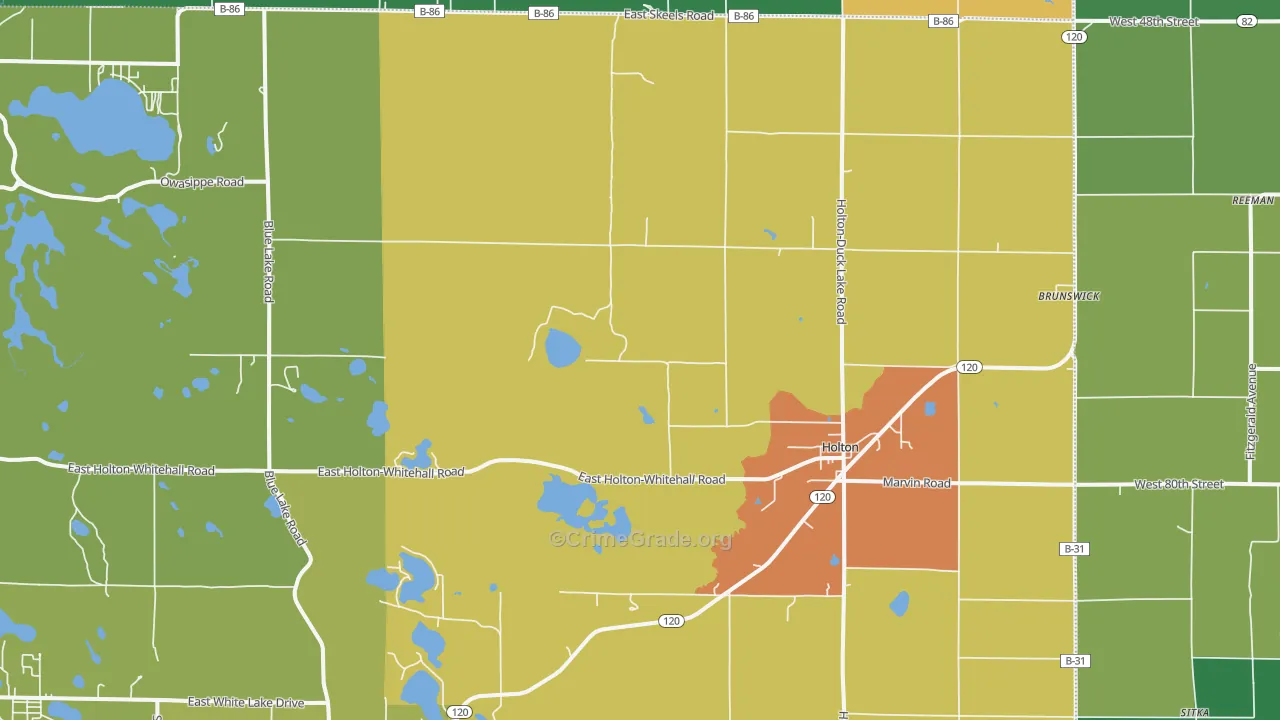 Holton, MI Map of Theft Rates