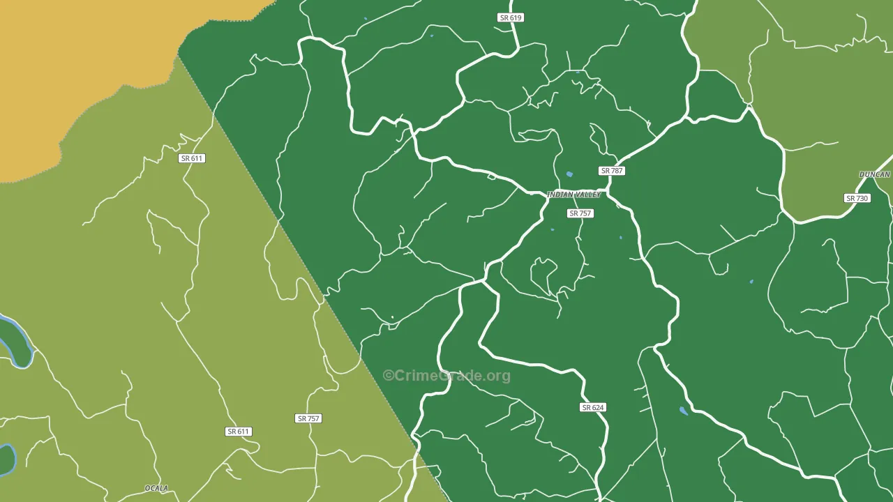 Indian Valley, VA Map of Theft Rates