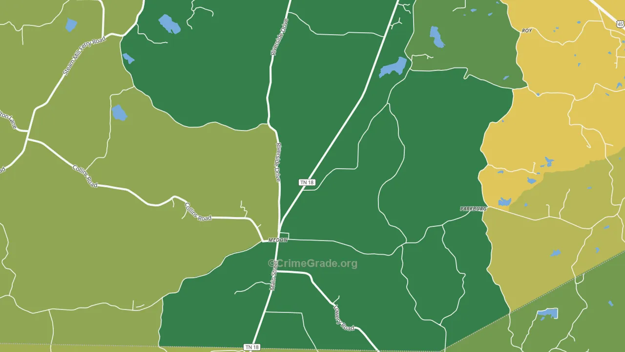 Medon, TN Map of Theft Rates