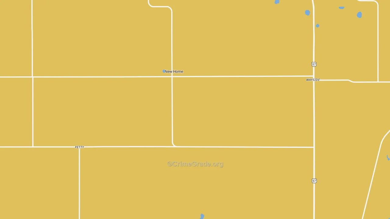 New Home, TX Map of Theft Rates