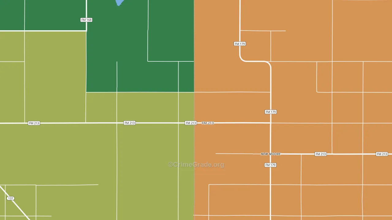 New Moore, TX Map of Theft Rates