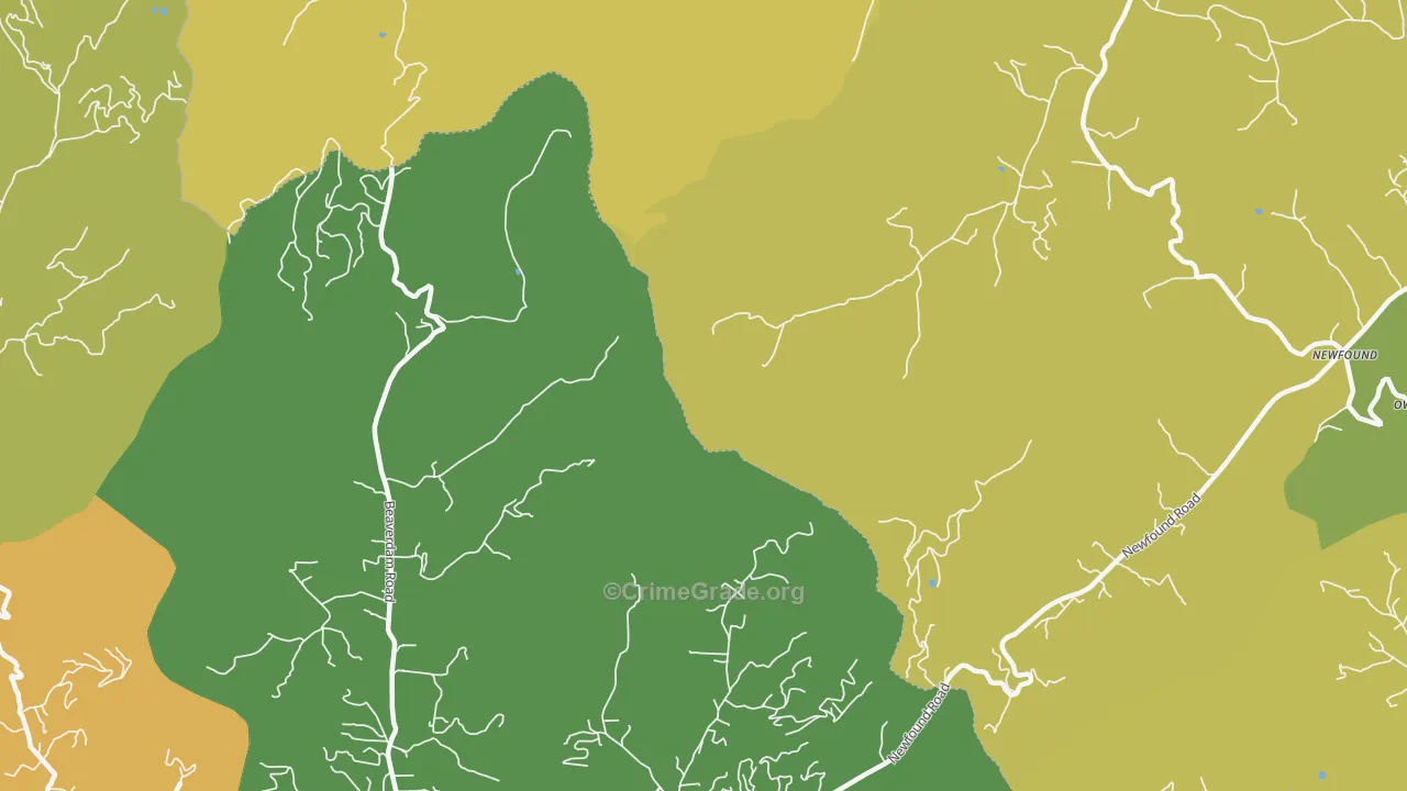Newfound, NC Map of Theft Rates