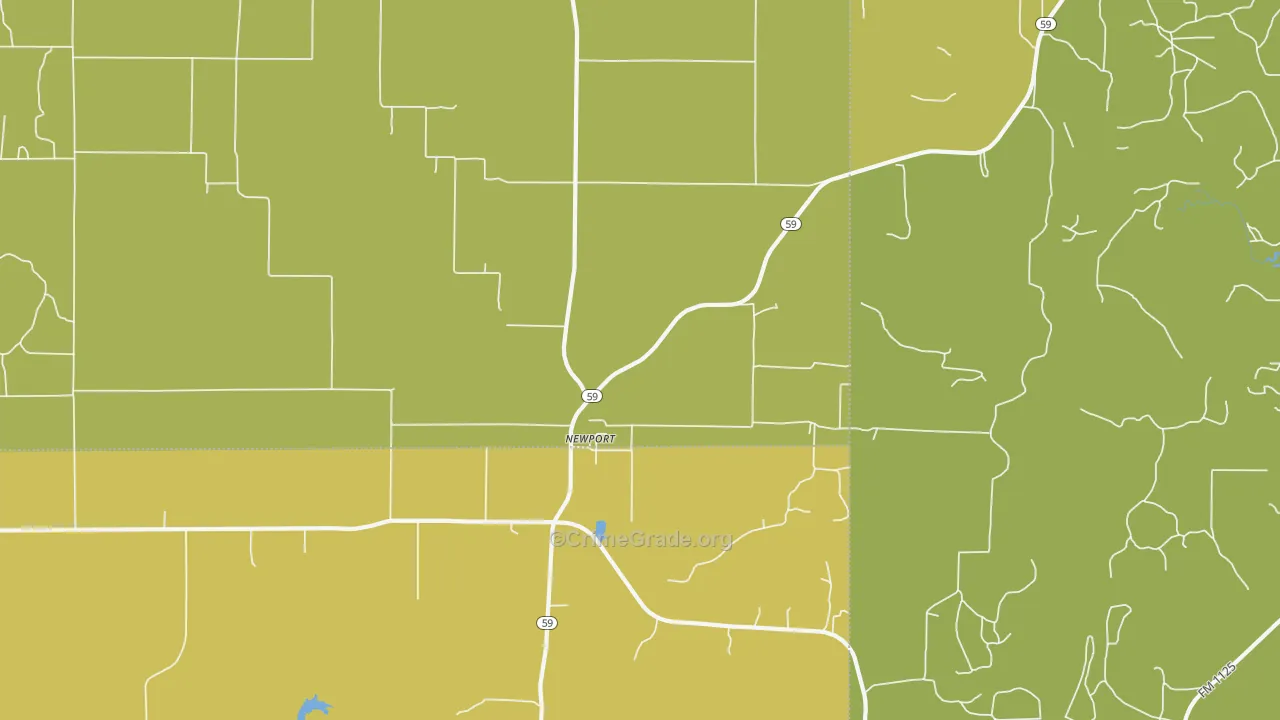 Newport, TX Map of Theft Rates