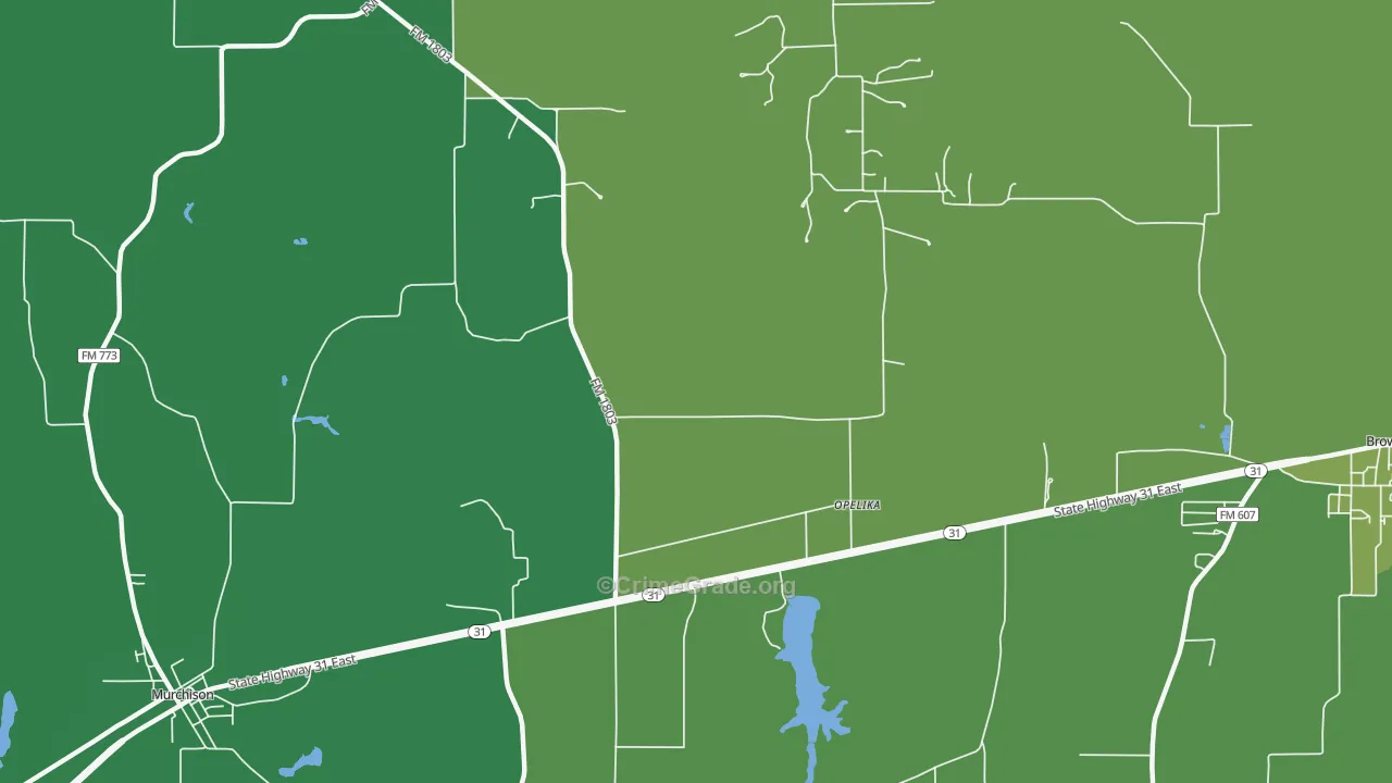Opelika, TX Map of Theft Rates