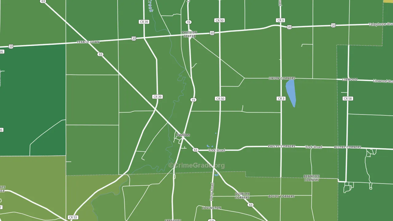 Pavilion, NY Map of Theft Rates