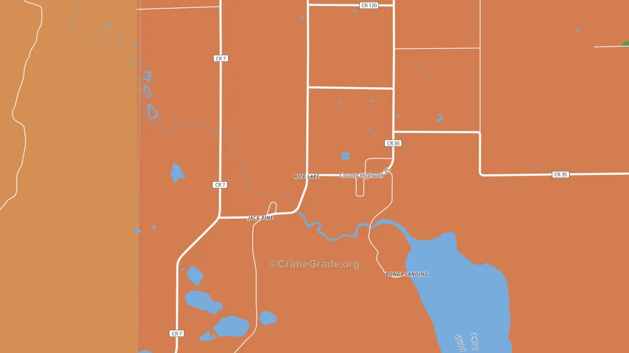 Rice Lake, MN Map of Theft Rates