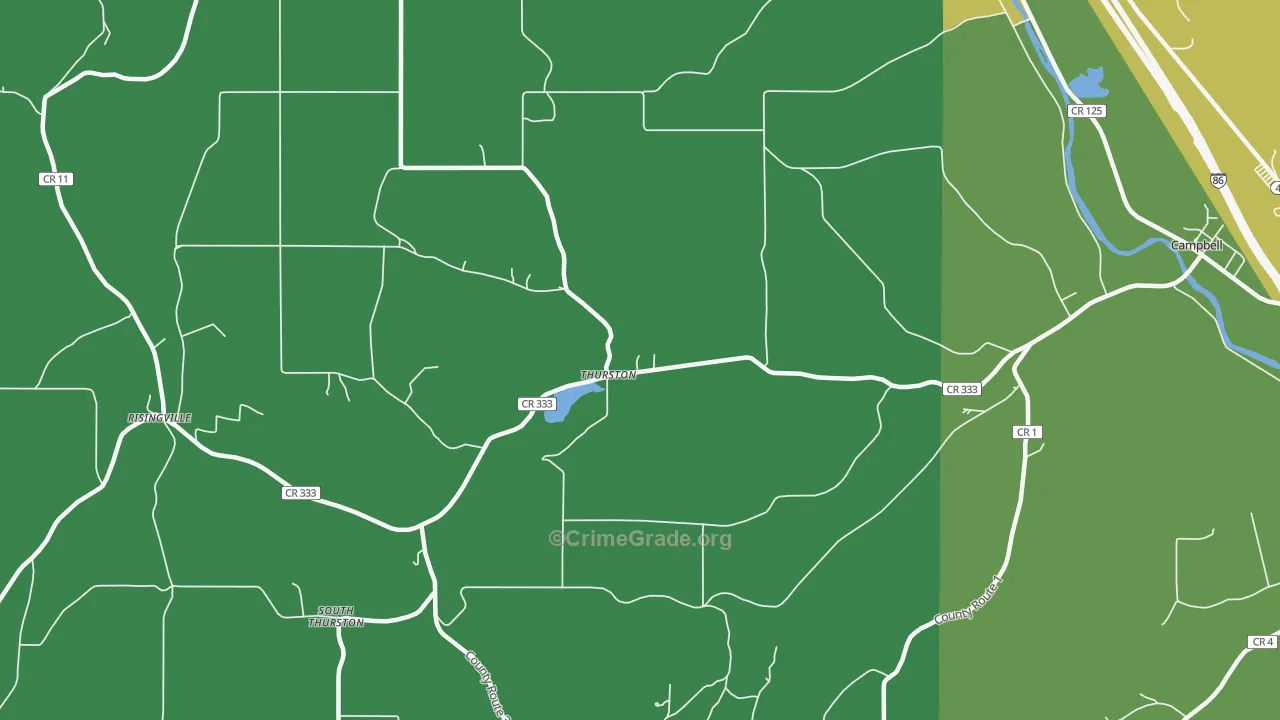 Thurston, NY Map of Theft Rates