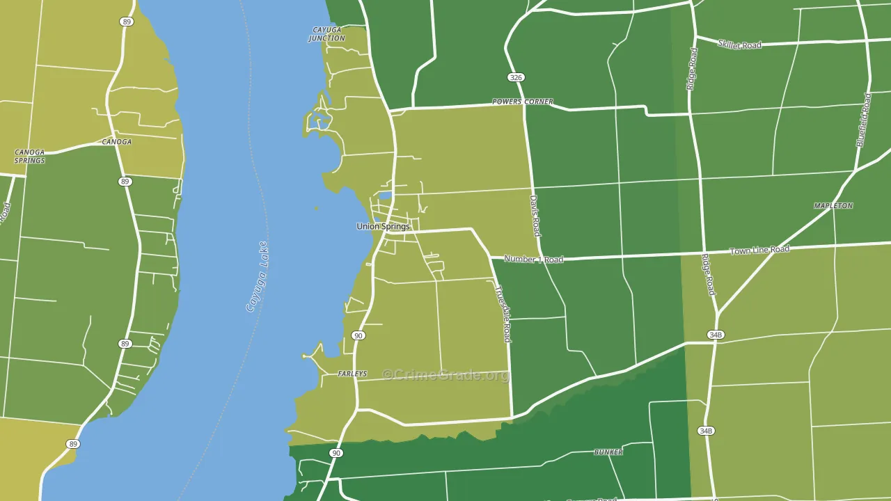 Union Springs, NY Map of Theft Rates