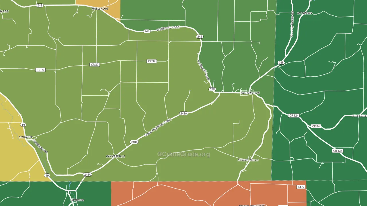 Whitesville, NY Map of Theft Rates