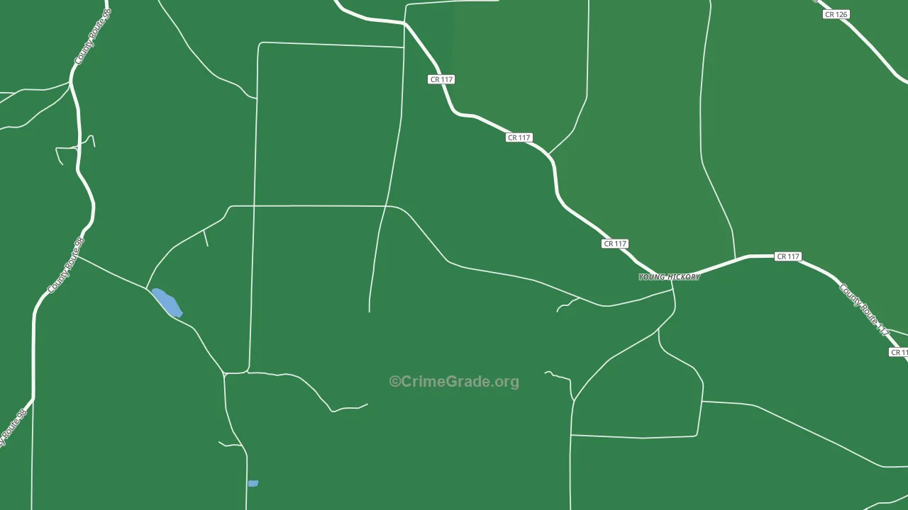 Young Hickory, NY Map of Theft Rates