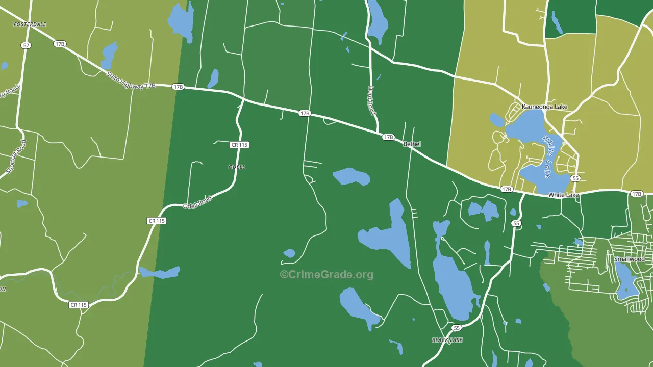 Bethel, NY Map of Vandalism Rates