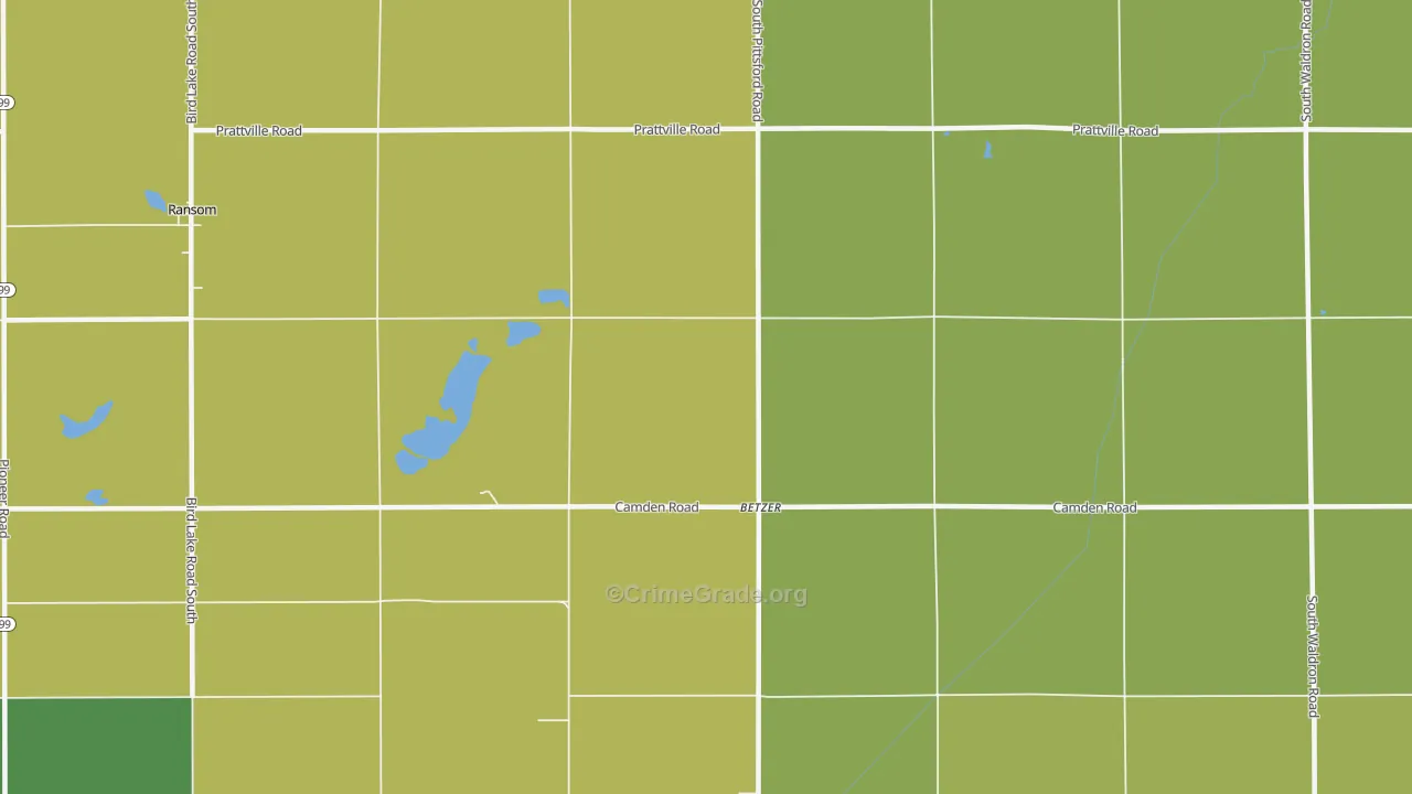 Betzer, MI Map of Vandalism Rates