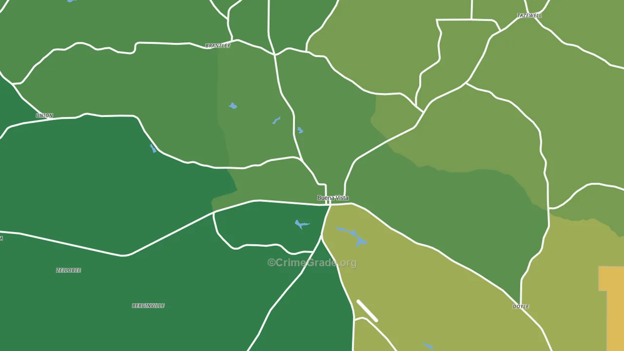 Buena Vista, GA Map of Vandalism Rates