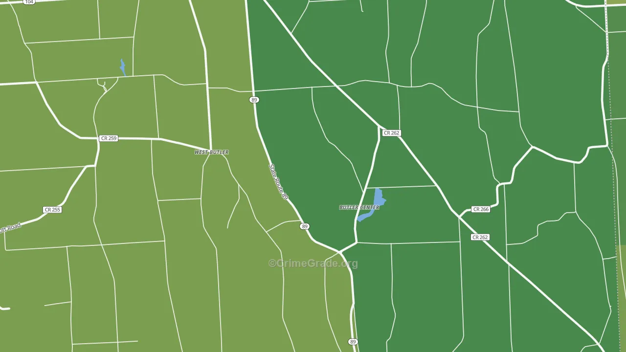 Butler Center, NY Map of Vandalism Rates