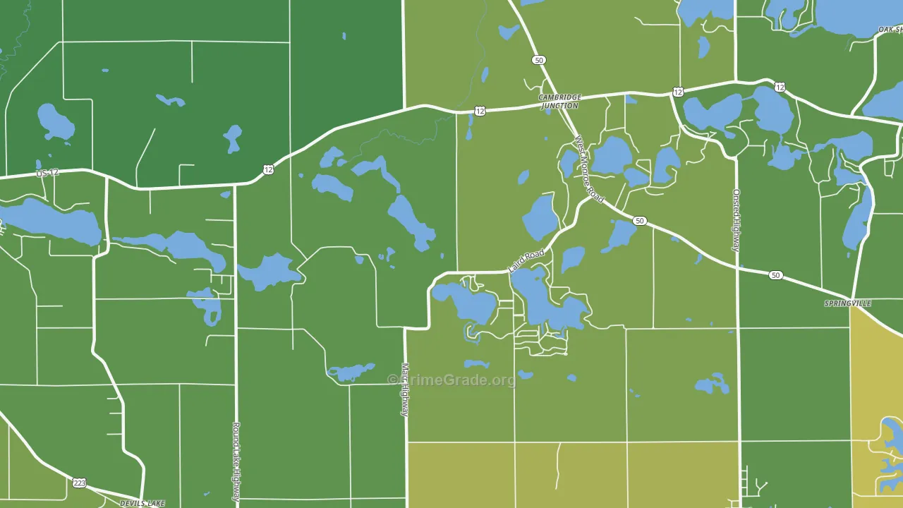 Cambridge Junction, MI Map of Vandalism Rates