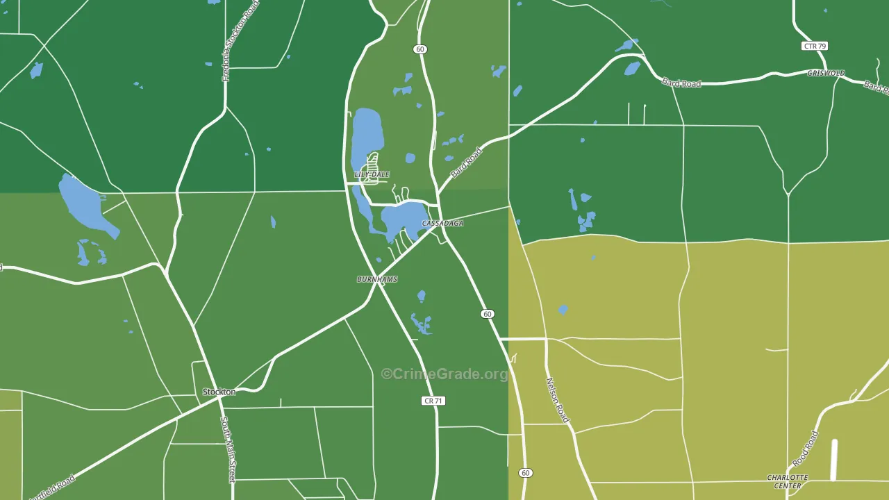 Cassadaga, NY Map of Vandalism Rates