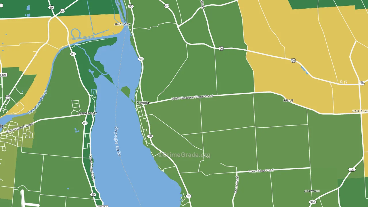 Cayuga, NY Map of Vandalism Rates