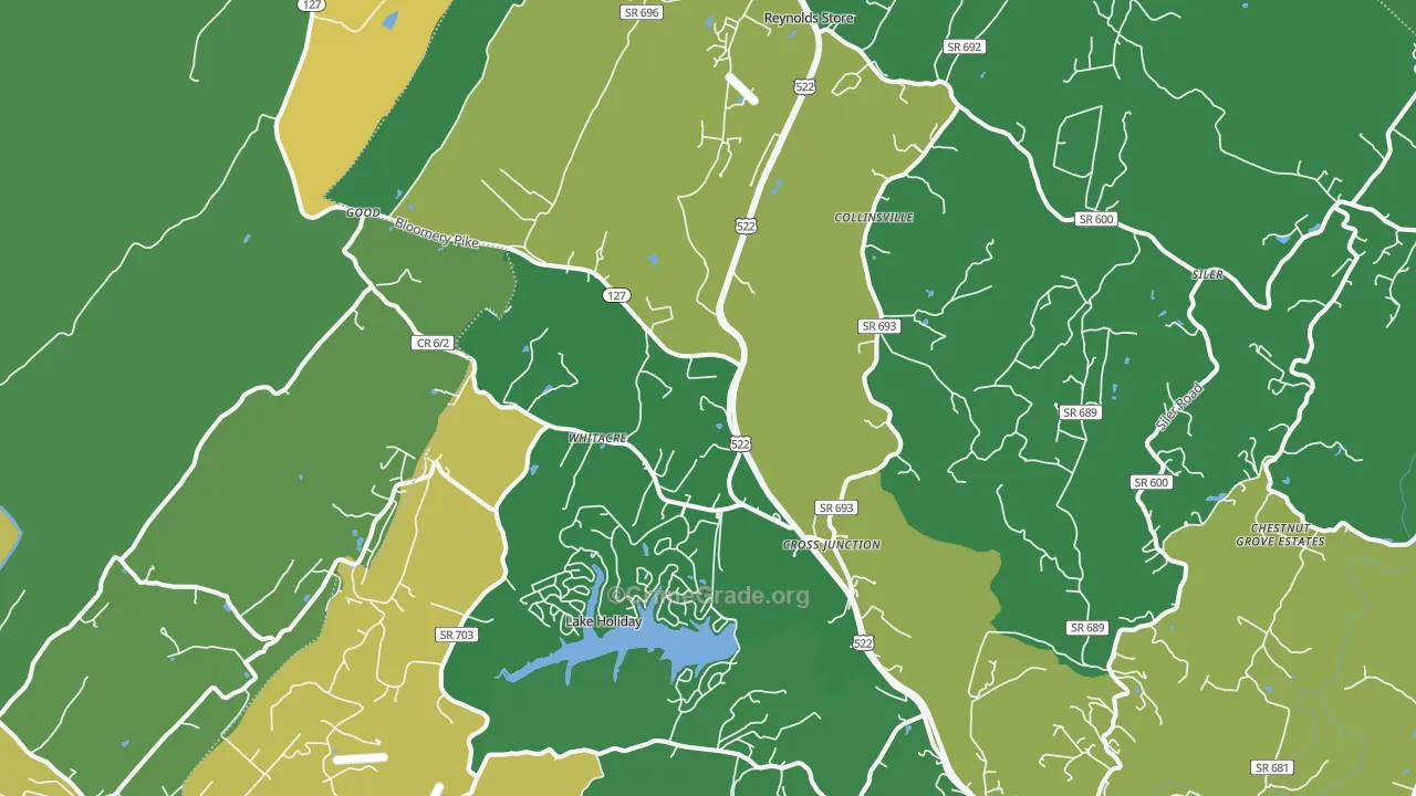 Cross Junction, VA Map of Vandalism Rates