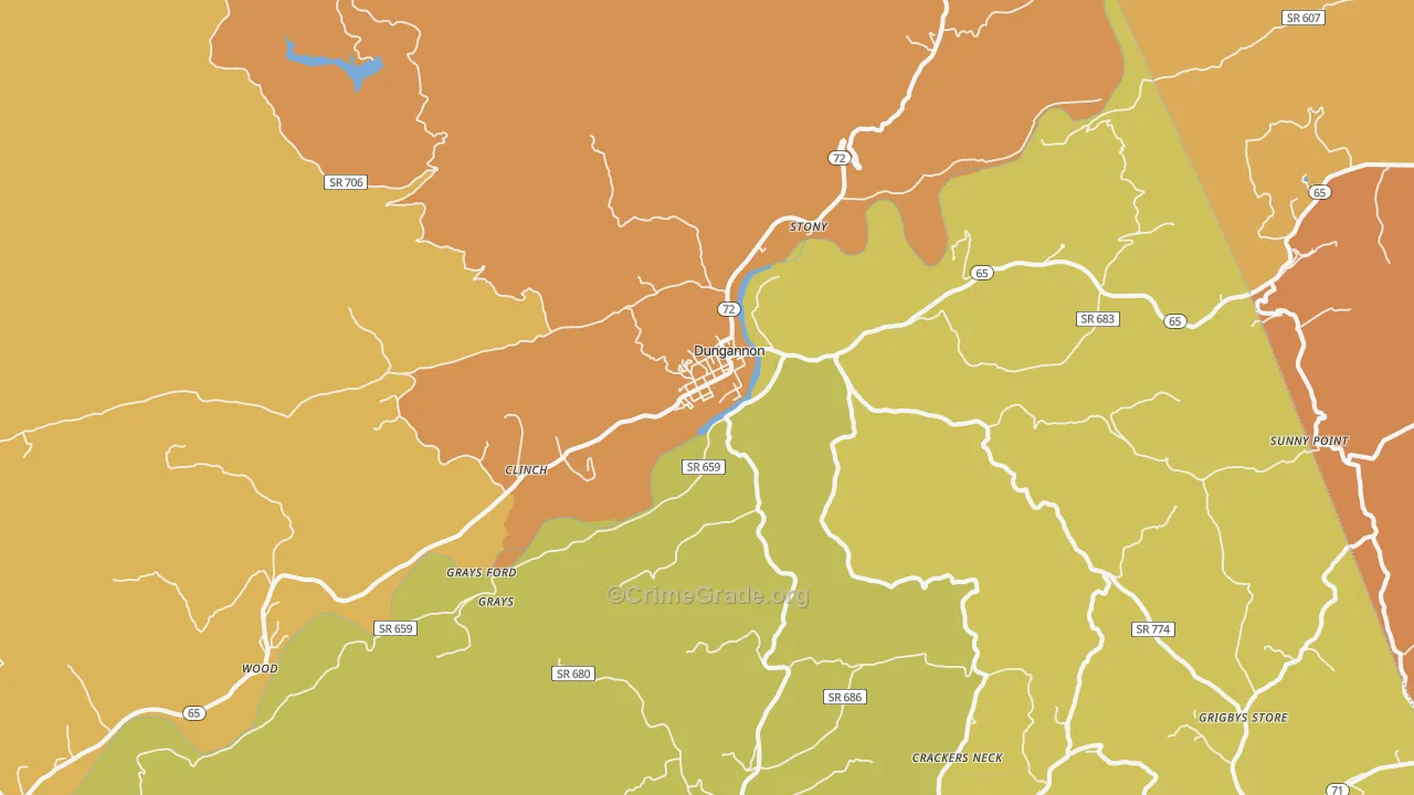 Dungannon, VA Map of Vandalism Rates