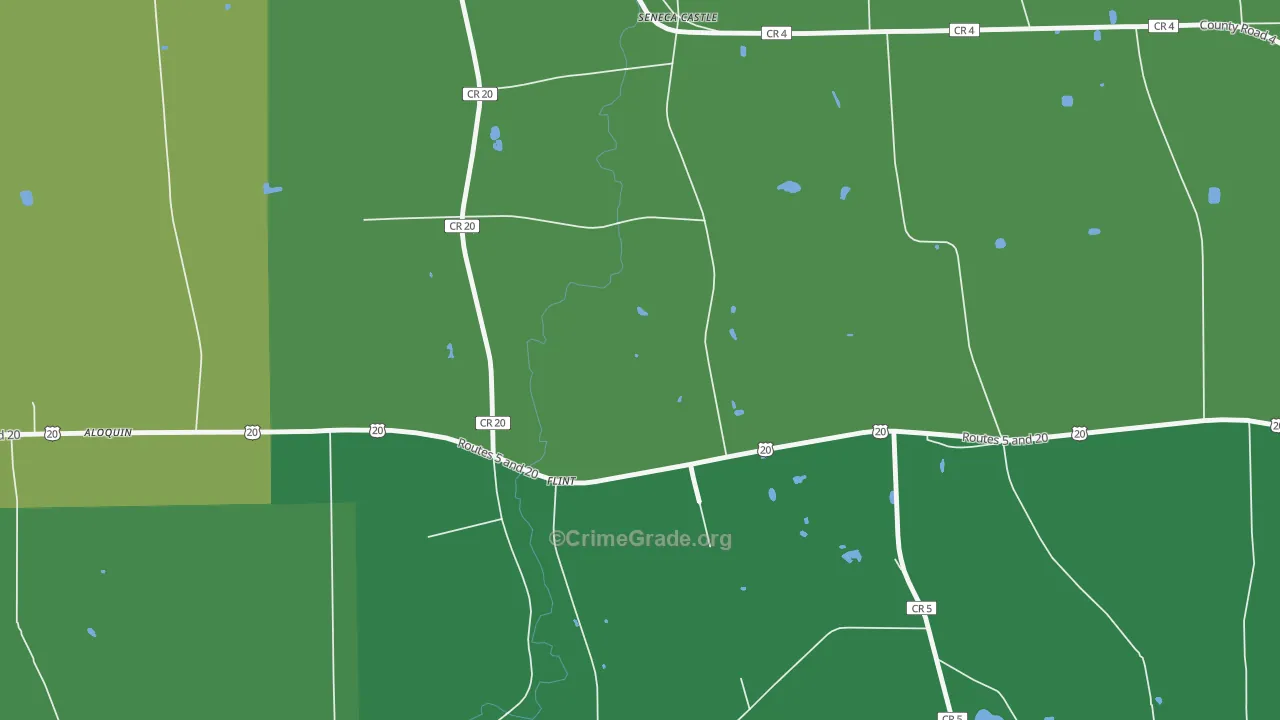 Flint, NY Map of Vandalism Rates