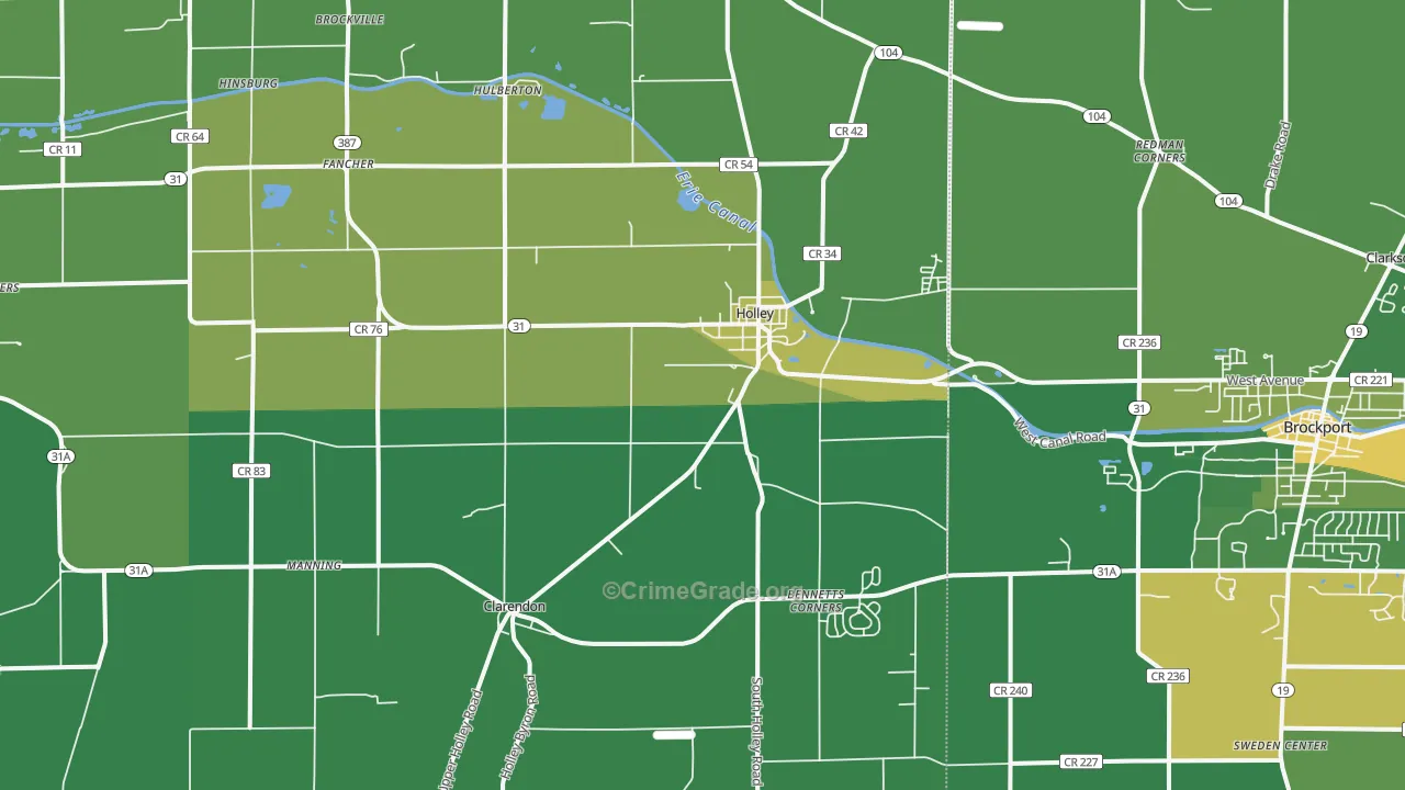 Holley, NY Map of Vandalism Rates
