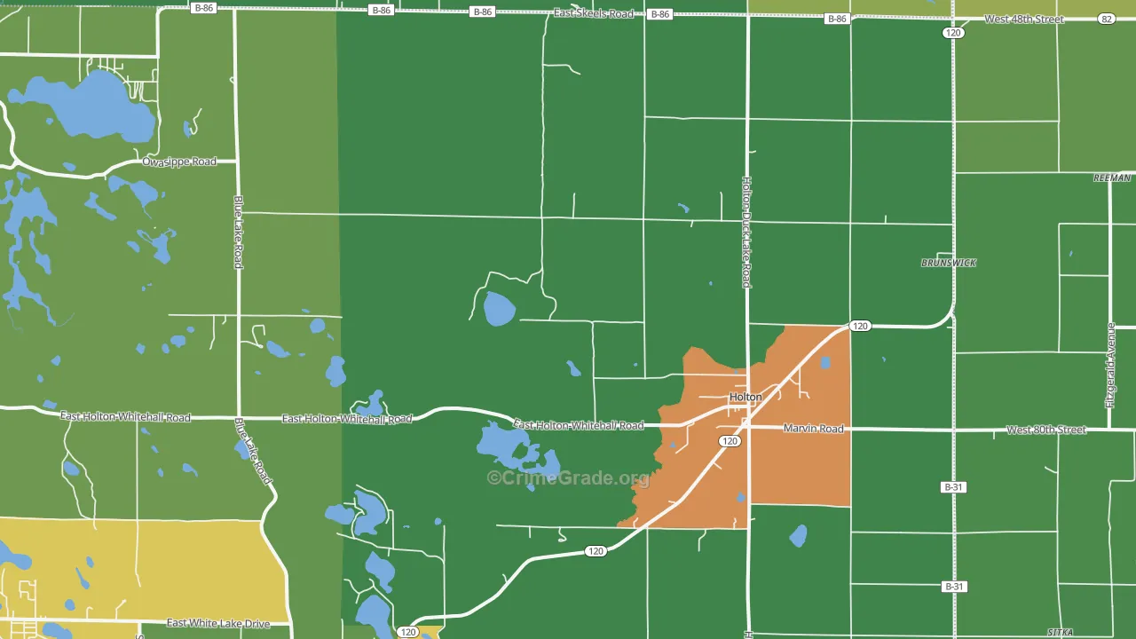 Holton, MI Map of Vandalism Rates